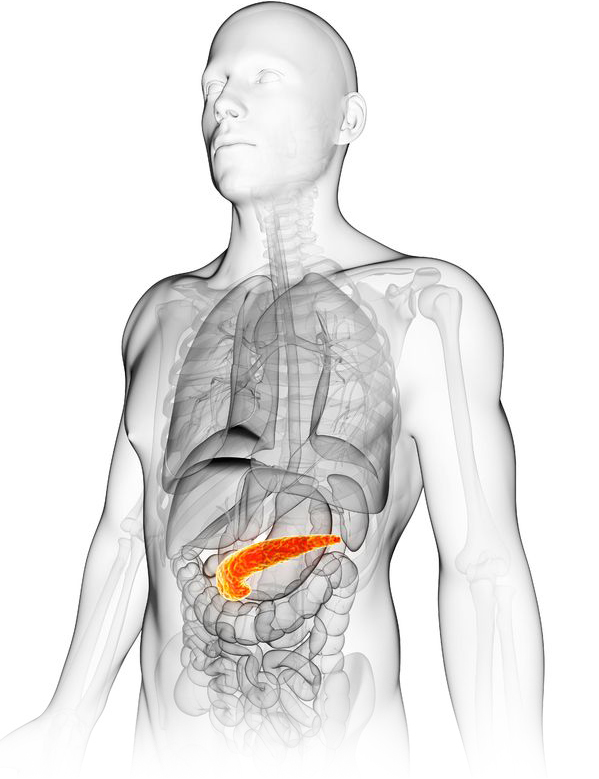 Pancreatic Cancer