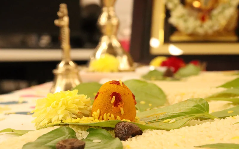 Sarah & Kyle Wedding Celebrations